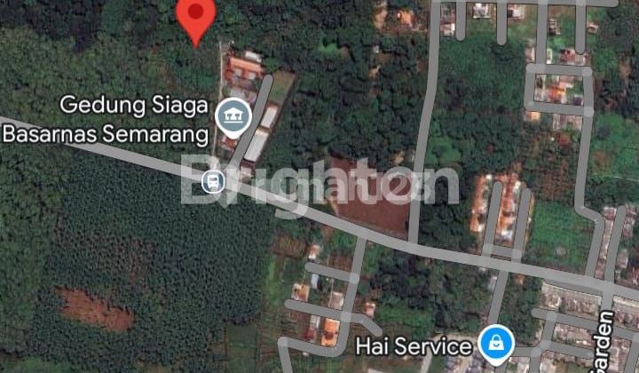 TANAH STRATEGIS DAERAH NGALIYAN HARGA JUAL DI BAWAH NJOP 1