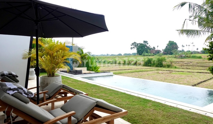 Modern 2-Bedroom Villa with Ricefield Views in Serene Kaba-Kaba
