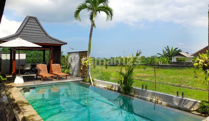 Pesona Villa 2 Kamar dengan Pemandangan Sawah di Kaba-Kaba