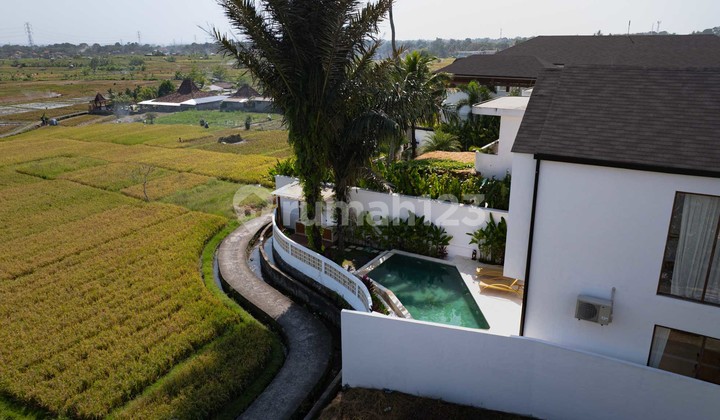 2 Bedroom Villa with a Bright Open Living Room in Cepaka