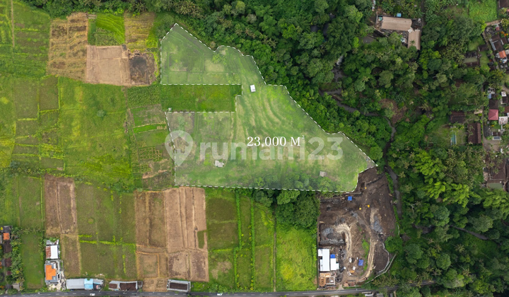 Freehold Land 2.3 Hectares with Rice Field & Rural Views in Kaba-Kaba Freehold Land 2.3 Hectares with Rice Field & Rural Views in Kaba-Kaba