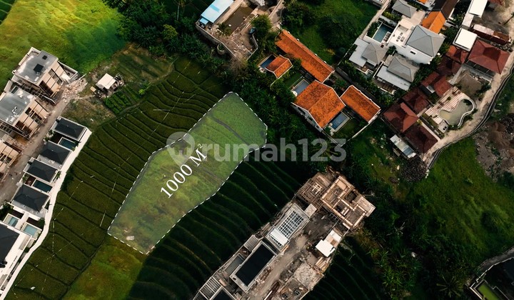 1,000 m² Land with Strategic Commercial Potential in Pererenan