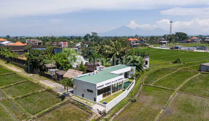 Modern 2-Bedroom Villa with Rice Field View