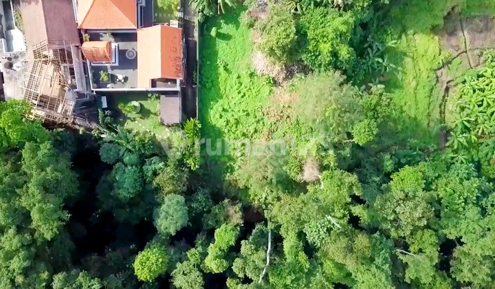 Lahan Hunian Tepi Sungai Seluas 17,5 Are dengan Pemandangan Alami di Buwit (L-Tb05)