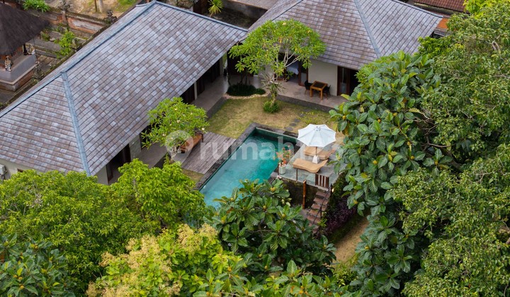 3 Bedroom Villa with a Serene Tropical Ambiance in Cepaka (R-Cp74) 3 Bedroom Villa with a Serene Tropical Ambiance in Cepaka (R-Cp74)