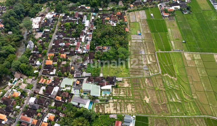 5-Bedroom Estate with Rice Field Views in Cepaka (B-CP55)