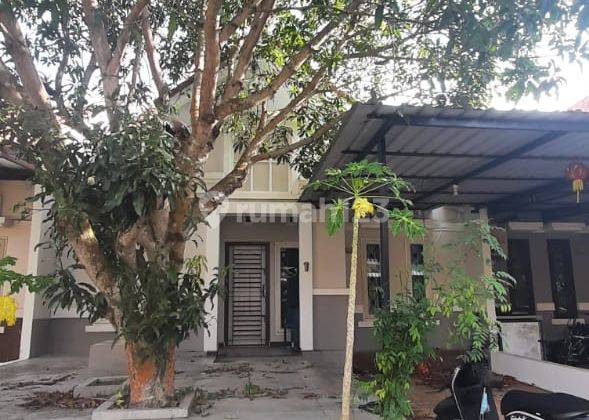 Disewakan Beverly  1