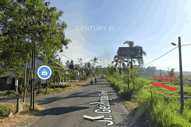 FOR RENT: RICE FIELD LAND WITH CERTIFICATE, STRATEGIC LOCATION IN SLEMAN