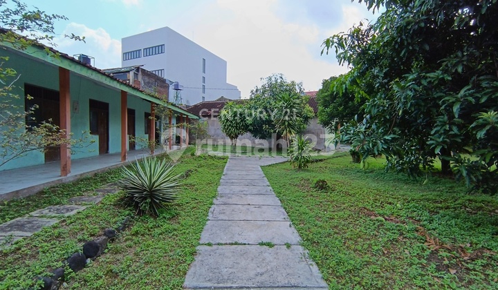 Dijual Tanah Bonus Rumah Dan Kos Depan superindo Jalan Kaliurang Dijual Tanah Bonus Rumah Dan Kos Depan superindo Jalan Kaliurang