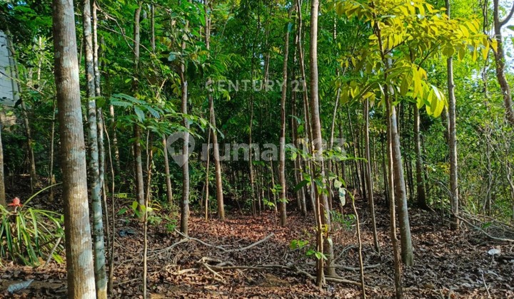 Land Suitable for Tourism and Lodging Businesses in Mangunan, Bantul