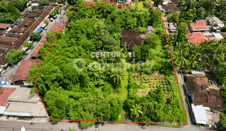 Tanah Luas 9031 M2 di Ngemplak Dekat Pasar Jambon Tanah Luas 9031 M2 di Ngemplak Dekat Pasar Jambon
