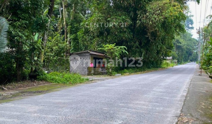 Prime Land in North Sleman Ideal for Cafe Business