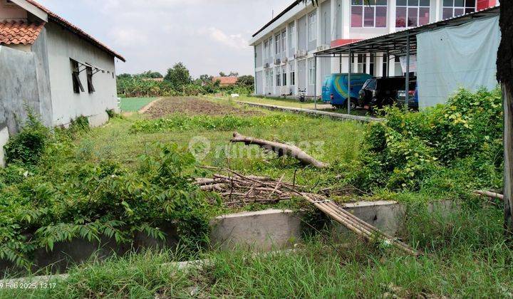 Jual Sawah Jl Gor Gandasuli Brebes 1