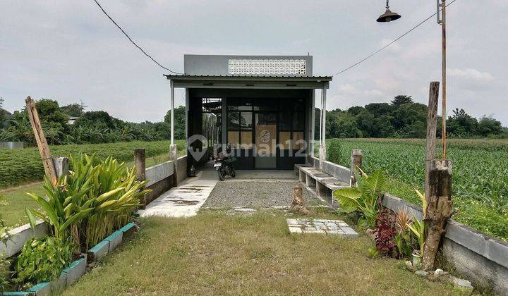 Ruko Cafe Di Sewakan Jl Kalikangkung Pangkah 1