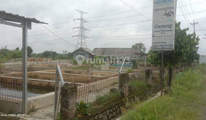 Jual Tanah Balongan Ikan Hitung Tanah Kambangan Lebaksiu Tegal 2