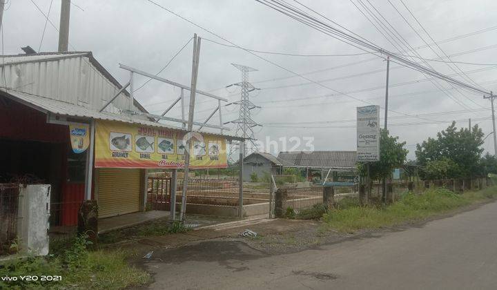 Jual Tanah Balongan Ikan Hitung Tanah Kambangan Lebaksiu Tegal 1