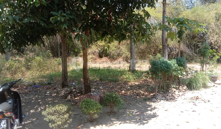 JUAL TANAH DAERAH DUKUHWARU TEGAL