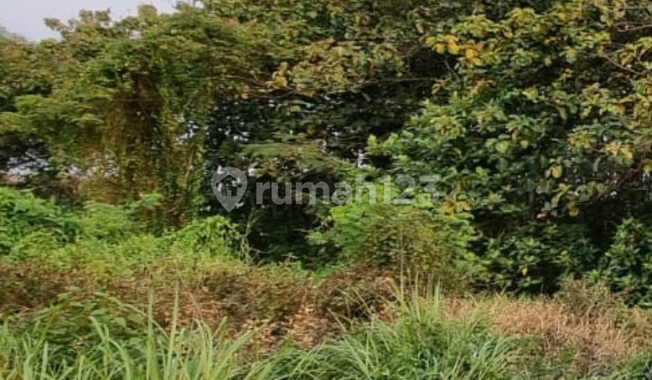 Tanahi Deket Pusat Kota Slawi