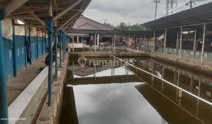 JUAL RUMAH DAN PEMANCINGAN KAMBANGAN LEBAKSIU 2