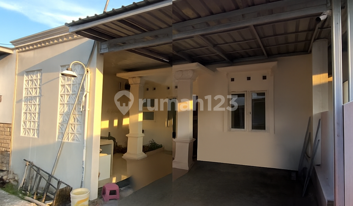 Saphir Pacul Ready-to-Use Housing