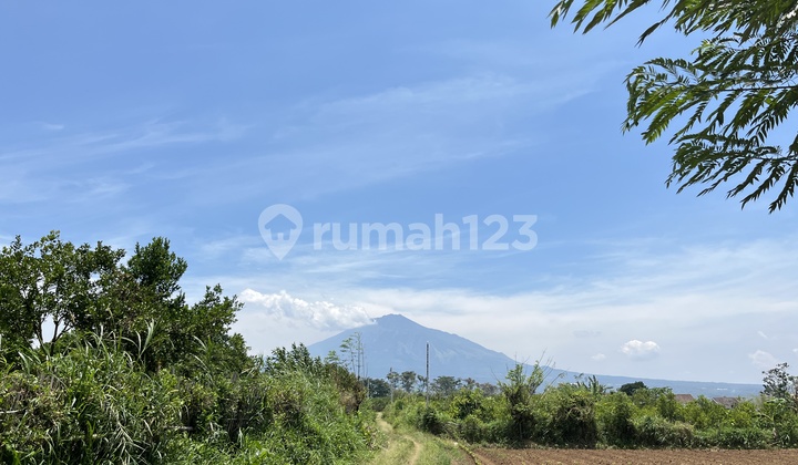 Tanah Kavling 160 Jutaan Kota Malang, Dekat Kampus Umm