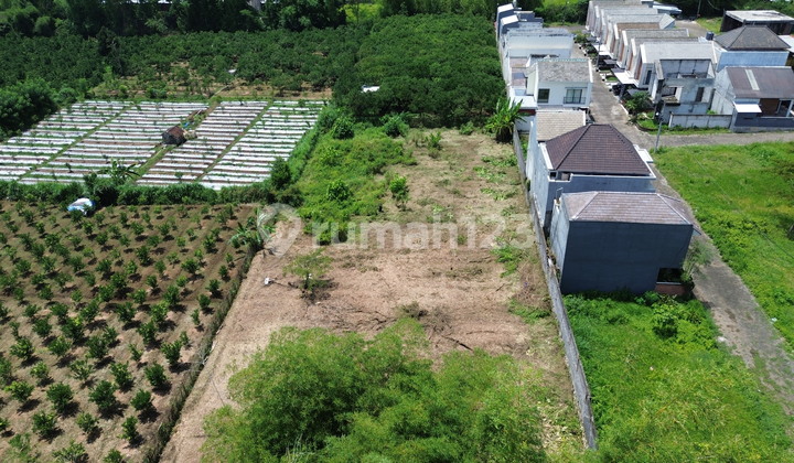Promo Tanah Kavling Kota Malang 180 Jutaan, 5 Menit Kampus Umm Promo Tanah Kavling Kota Malang 180 Jutaan, 5 Menit Kampus Umm