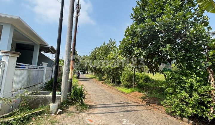 Promo Tanah Kota Malang, 7 Menit Kampus Ternama Ub, Umm, Uin Promo Tanah Kota Malang, 7 Menit Kampus Ternama Ub, Umm, Uin