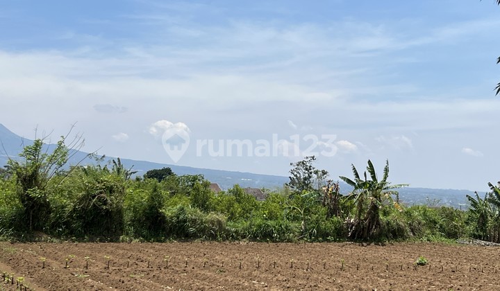 Tanah Kavling Kota Malang bisa Angsurm 7 Menit Kampus Umm