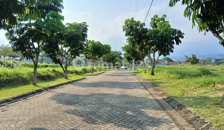 Tanah Kavling Potensial Kost, Selangkah Kampus UIN3 Malang Tanah Kavling Potensial Kost, Selangkah Kampus UIN3 Malang