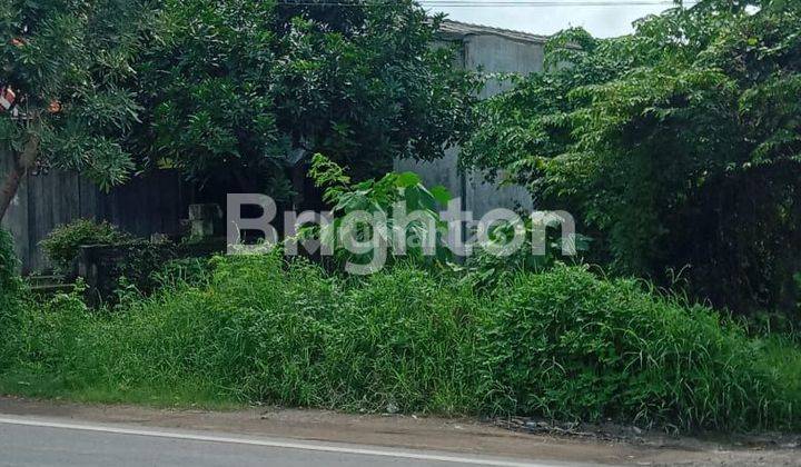 JUAL TANAH RAYA KEDAMEAN  1