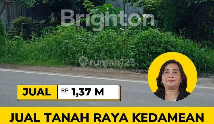 JUAL TANAH RAYA KEDAMEAN  2