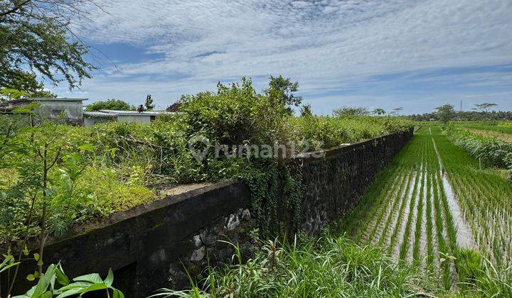 Dijual Tanah Kavling di Jl. Nagung-Brosot, Gotakan, Panjatan, Wates, Kulon Progo, Yogyakarta  2