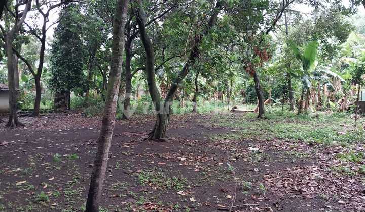 Dijual Tanah Kavling di Belakang Raffles Hills Cibubur Cocok untuk bangun cluster 1