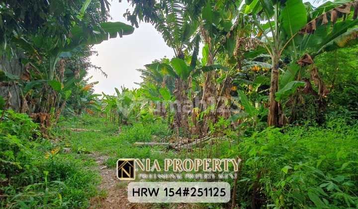 Land Plot for Sale 1,234 m² Just Steps Away from LRT Harjamukti, Cimanggis, Depok, Cibubur