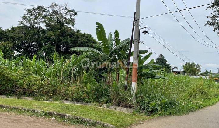 Jual Cepat Tanah Di Komplek KEMHAN Ciangsana Dekat Kota Wisata Cibubur  2