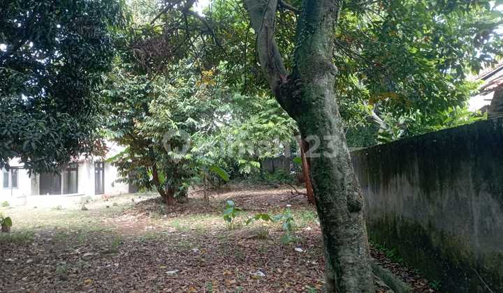 Dijual Tanah Kavling Dekat Komplek Puri Sriwedari Cibubur Dijual Tanah Kavling Dekat Komplek Puri Sriwedari Cibubur