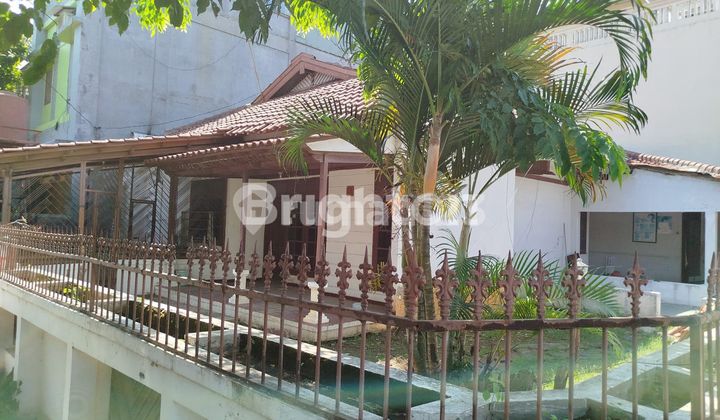 DI JUAL RUMAH  HOOK  BISA  UNTUK TEMPAT  TINGGAL /  RESTORAN / PERKANTORAN  DG LUAS 299 m DAERAH TLOGOSARI  SEMARANG 1