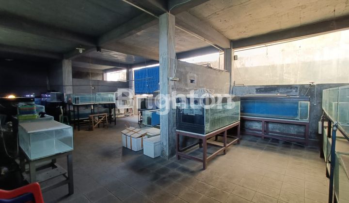 RUMAH CANTIK BONUS RUKO UNTUK USAHA DI TENGAH KOTA,  TANAH NGANTONG  DG LUAS 1720 M HARGA DI BAWAH NJOP DEPAN JALAN RAYA DAERAH GAJAH  SEMARANG 2