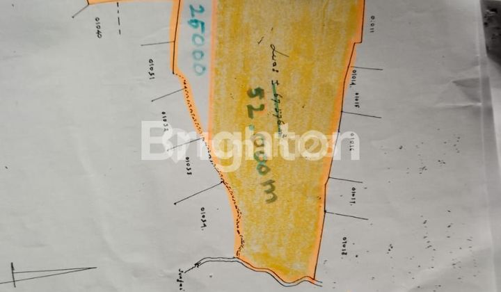 DI JUAL TANAH 5,2 HA  DI AMPEL GADING RAYA  SEMARANG 2