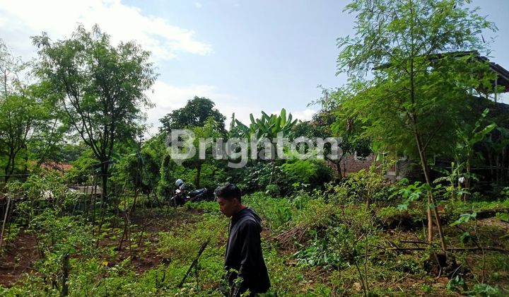 DI JUAL TANAH LUAS 255m2 DI MANGUN HARJO TEMBALANG  SEMARANG 2