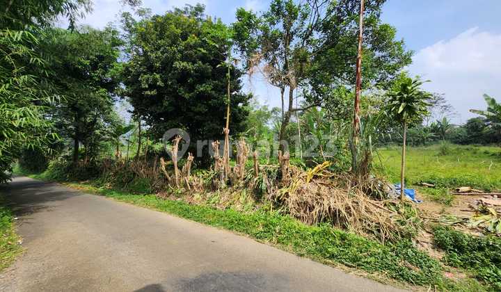 Miliki Tanah Murah Luas 3,289 M Strategis Dekat Wisata Golpara Tea Park Di Desa Sukamekar Kec Sukaraja Kab Sukabumi Dekat Dengan Golpara Tea Park Di Sukamekar Sukaraja Sukabumi