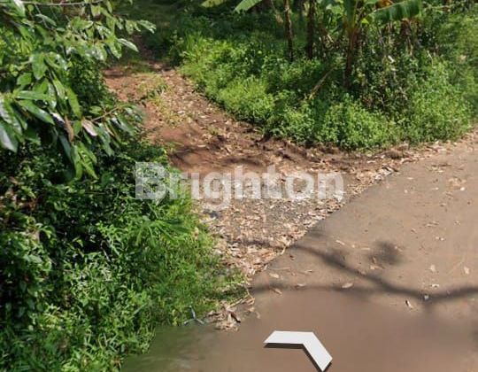 DI JUAL KEBUN DURIAN 1,5 ha DI PATEMON GUNUNG PATI SEMARANG 2
