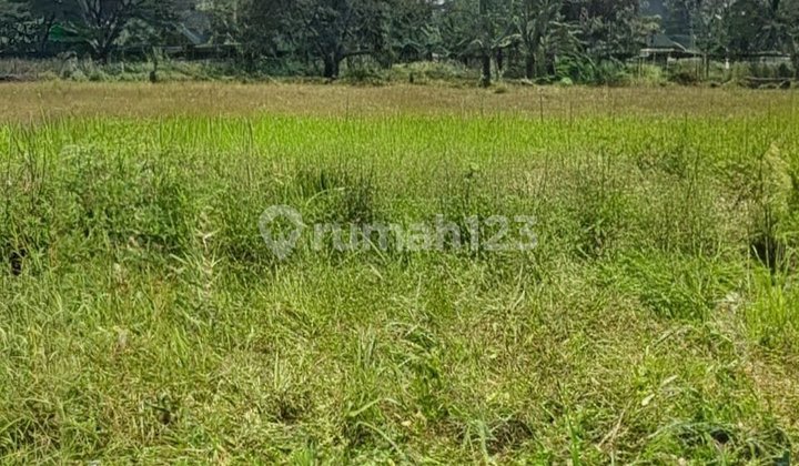 Kapling Luas 280M =2 Sertifikat SHM Didaerah Pedurungan Hadap Selatan 1