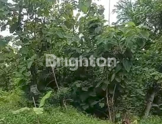 LAND FOR SALE LT 7150 M2. CERTIFICATE. IN NANAS RAYA TEMBALANG. 1