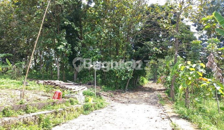 LAND FOR SALE LT 7150 M2. CERTIFICATE. IN NANAS RAYA TEMBALANG. 2