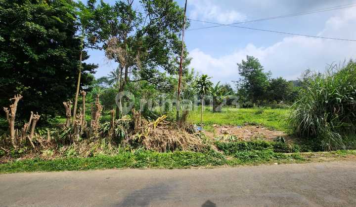 Miliki Tanah Murah Luas 3,289 M Strategis Dekat Wisata Golpara Tea Park Di Desa Sukamekar Kec Sukaraja Kab Sukabumi Dekat Dengan Golpara Tea Park Di Sukamekar Sukaraja Sukabumi