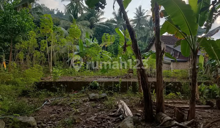 Tanah Di Sinar Baru,cocok Untuk Investasi
