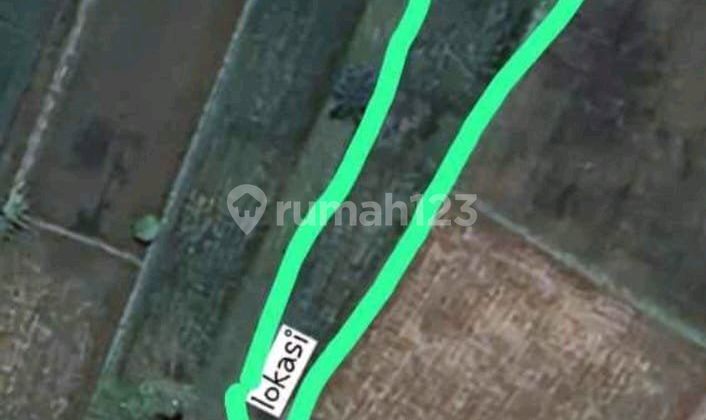 Dijual Tanah Dekat Kedamean Gresik