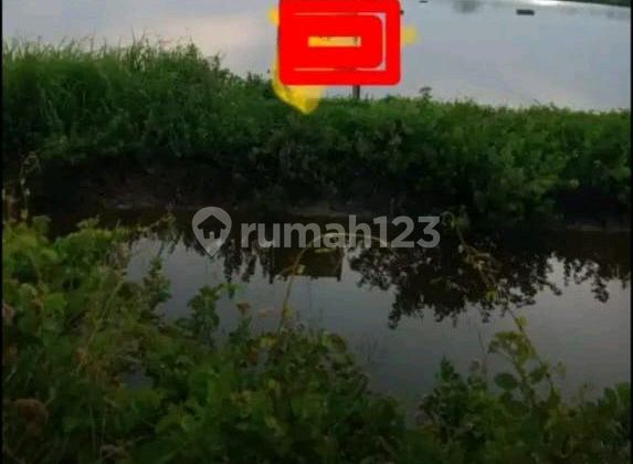 Dijual Tanah Tambak Raya Cemandi Sedati Dijual Tanah Tambak Raya Cemandi Sedati