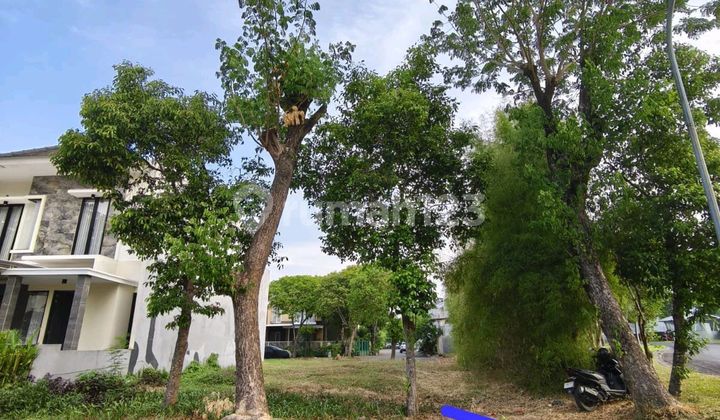 Dijual Kavling Tanah Alam Hijau Pinggir Jalan